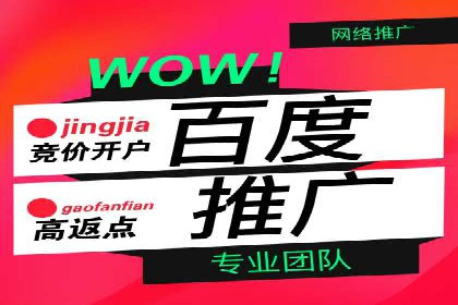 成功案例解析：SEM竞价员策略